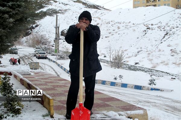بارش برف زمستانی در پردیس