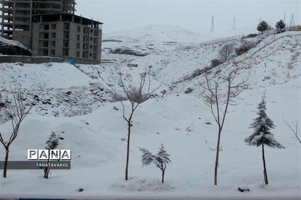 بارش برف زمستانی در پردیس