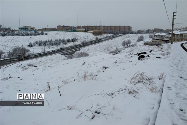بارش برف زمستانی در پردیس