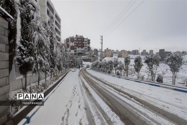 بارش برف زمستانی در پردیس