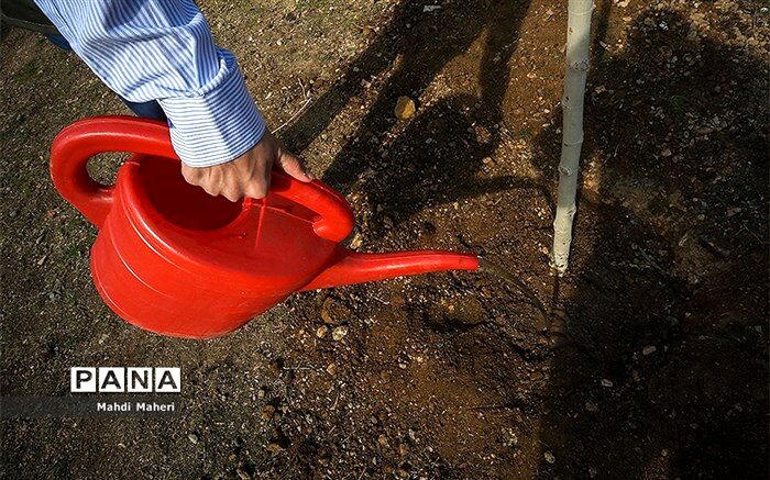 100 هزار مجری و بهره‌بردار طبیعت آموزش می‌بینند