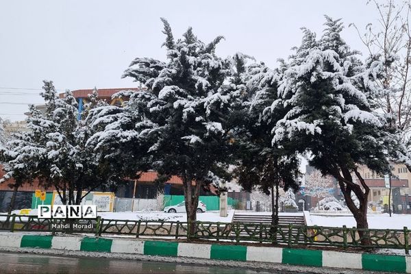 رخت سفید زمستان بر تن طبیعت دماوند