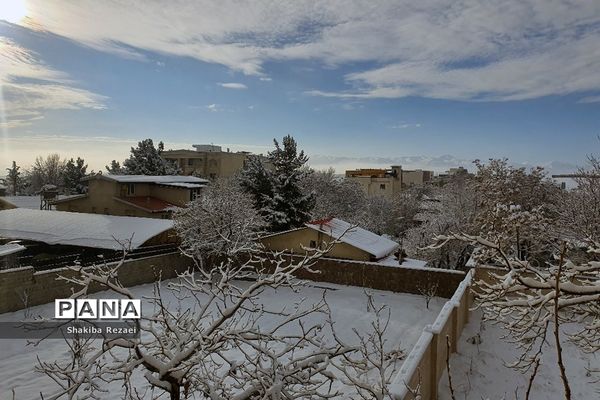 رخت سفید زمستان بر تن طبیعت دماوند