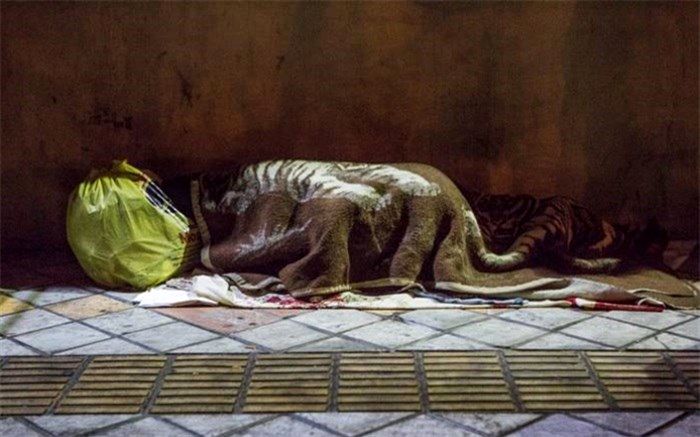 اسکان ۱۶۰۰ کارتن خواب در گرمخانه‌ها در شب برفی تهران