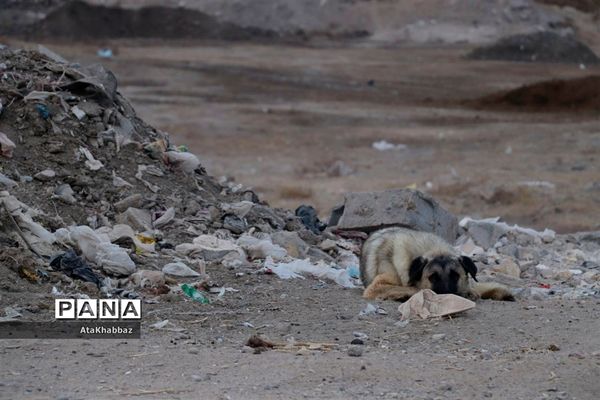 هیس! لطفا نفس نکشید
