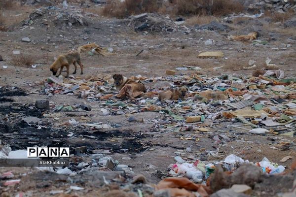 هیس! لطفا نفس نکشید