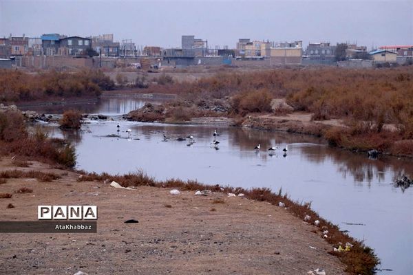 هیس! لطفا نفس نکشید