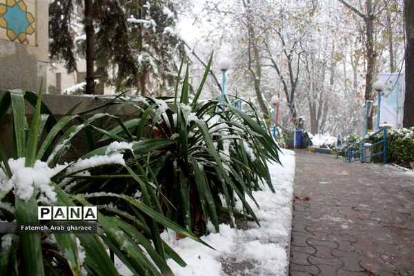 زمین در اردوگاه شهید باهنر لباس سپید به تن کرد