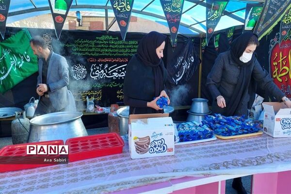 یک روز با شیر در مدارس آباده