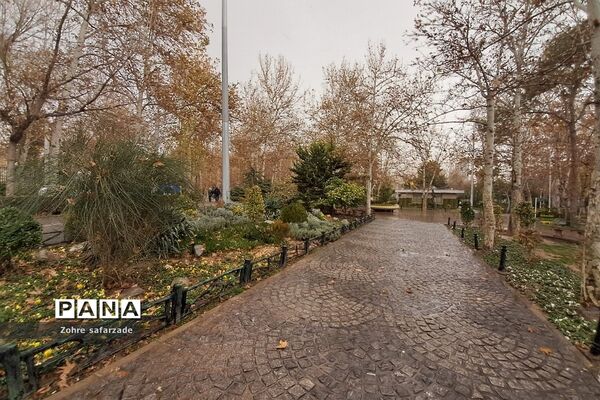 پارک لاله تهران در‌ یک روز بارانی
