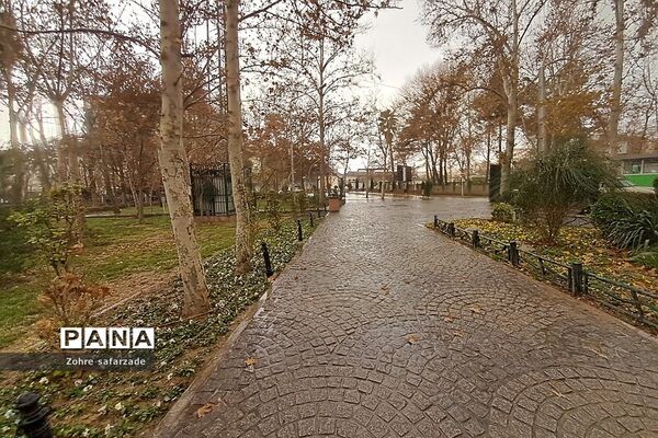 پارک لاله تهران در‌ یک روز بارانی