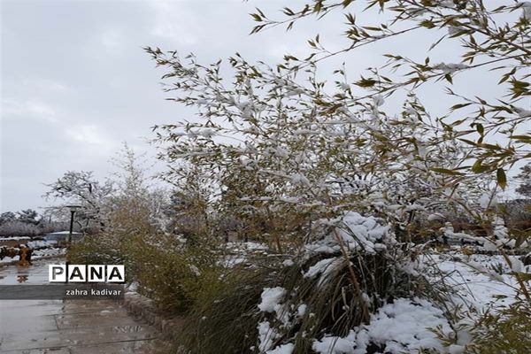 روز برفی در آباده