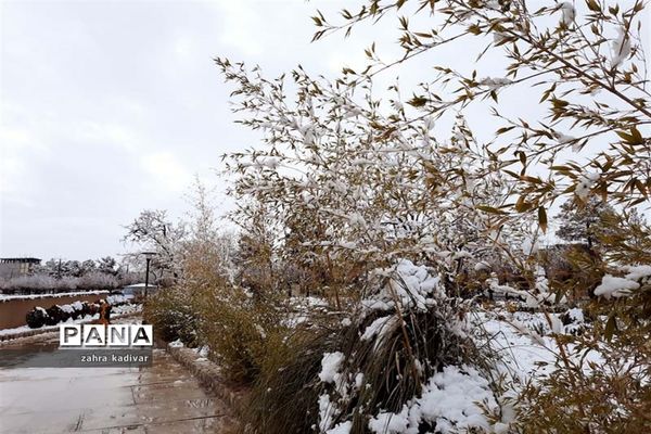 روز برفی در آباده