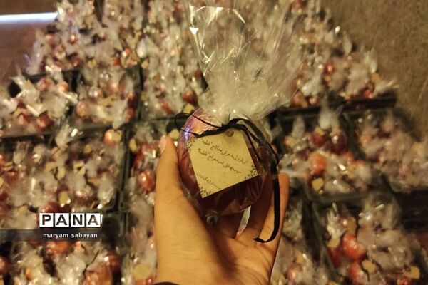 بسته بندی و توزیع ۳ هزار سیب در شبستان امام خمینی(ره) حرم شاهچراغ(ع)