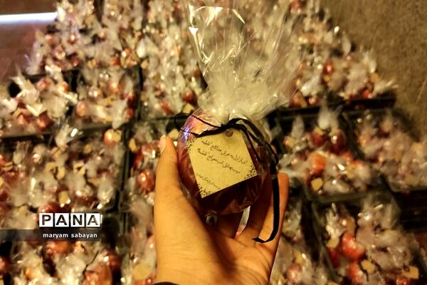 بسته بندی و توزیع ۳ هزار سیب در شبستان امام خمینی(ره) حرم شاهچراغ(ع)