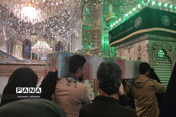بسته بندی و توزیع ۳ هزار سیب در شبستان امام خمینی(ره) حرم شاهچراغ(ع)