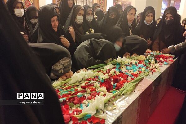 بسته بندی و توزیع ۳ هزار سیب در شبستان امام خمینی(ره) حرم شاهچراغ(ع)