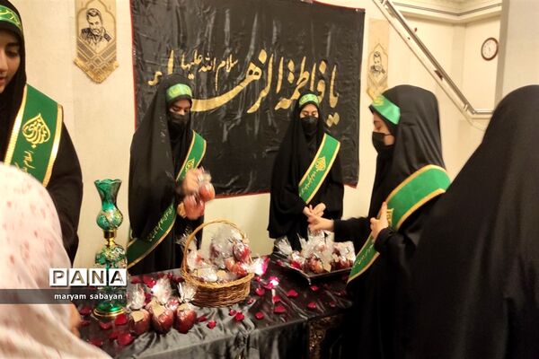 بسته بندی و توزیع ۳ هزار سیب در شبستان امام خمینی(ره) حرم شاهچراغ(ع)
