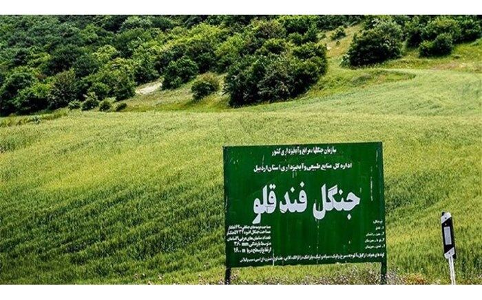 لزوم تعیین مالکیت پارک جنگلی فندقلو شهرستان اهر