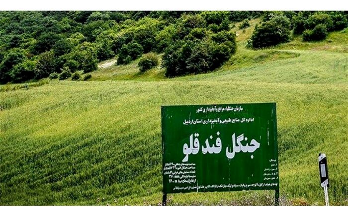 لزوم تعیین مالکیت پارک جنگلی فندقلو شهرستان اهر