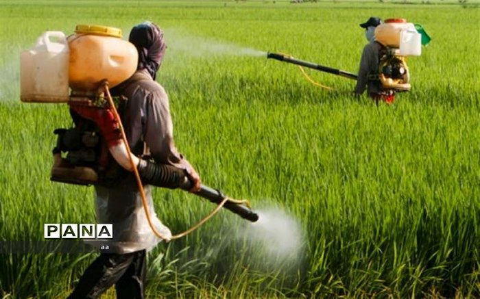 صرفه‌جویی ارزی ۱۲۵ میلیون دلاری با جلوگیری از واردات سموم کشاورزی آماده مصرف
