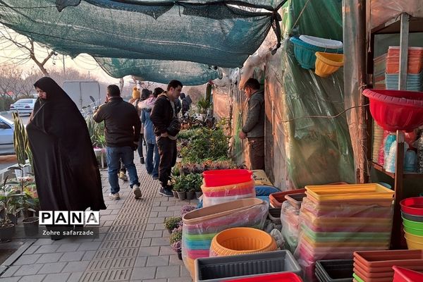 زیبایی‌های بازار گل محلاتی تهران