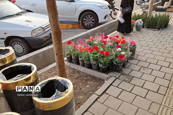 زیبایی‌های بازار گل محلاتی تهران