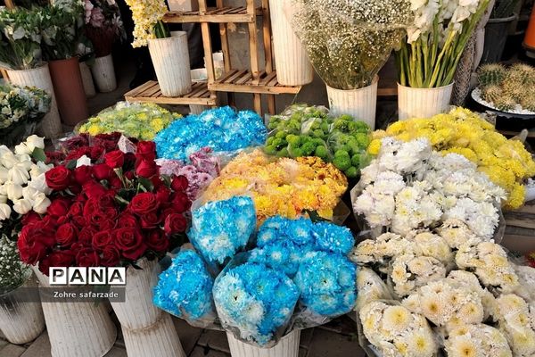 زیبایی‌های بازار گل محلاتی تهران