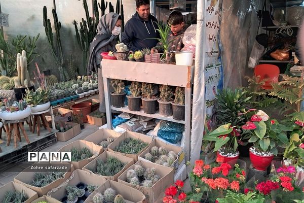 زیبایی‌های بازار گل محلاتی تهران