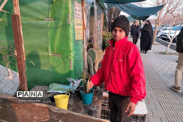 زیبایی‌های بازار گل محلاتی تهران