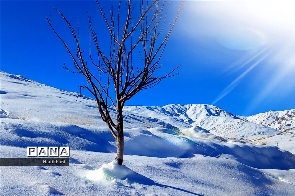 طبیعت برفی روستای دره بید شهرستان کوهرنگ