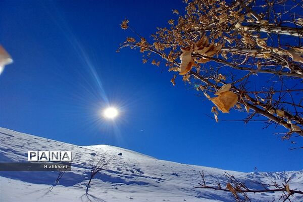 طبیعت برفی روستای دره بید شهرستان کوهرنگ