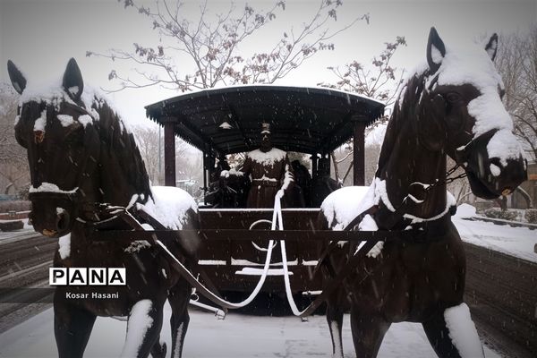 عروسی زمستان در تبریز