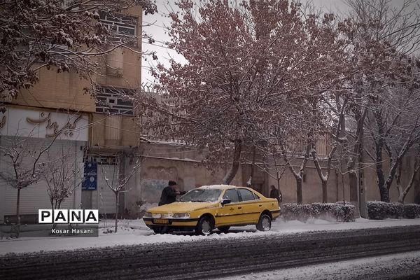 عروسی زمستان در تبریز