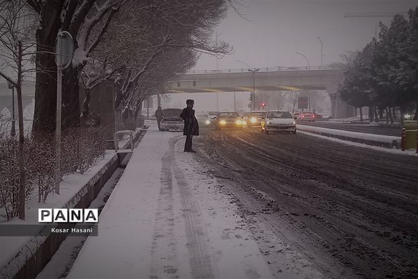 عروسی زمستان در تبریز