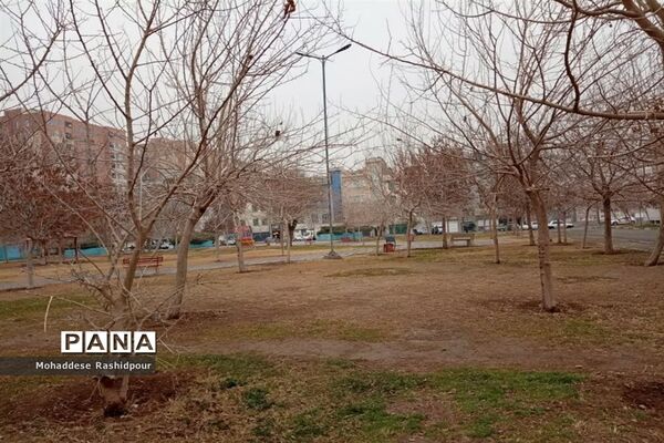 طبیعت زیبای بوستان شهید ندایی شهرستان اسلامشهر