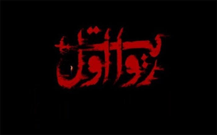 شبکه مستند پرونده رسانه‌ای هواپیمای اوکراینی را باز کرد