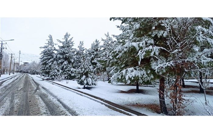 بارش برف مدارس و ادارات را تعطیل کرد