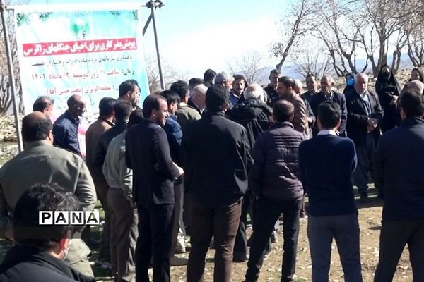 پویش کاشت بذر بلوط برای احیا و توسعه جنگل‌های زاگرس بدره