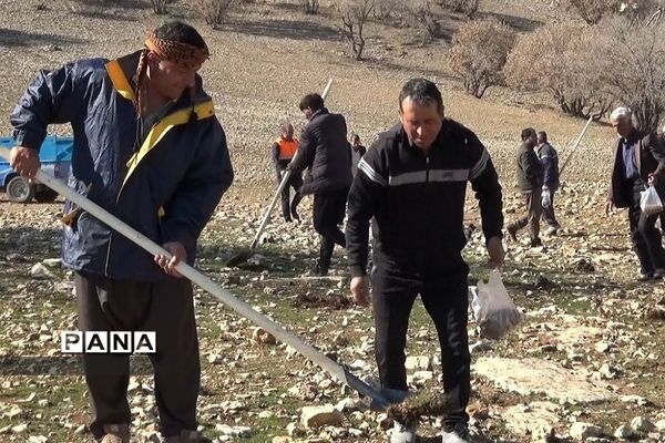 پویش کاشت بذر بلوط برای احیا و توسعه جنگل‌های زاگرس بدره