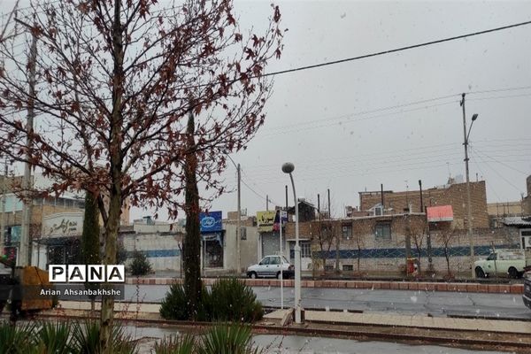 بارش برف بعد از سال‌ها  انتظار در کاشمر