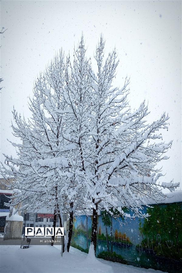 شهرستان فارسان،سفید پوش شد