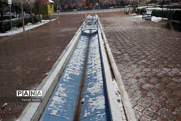 کاشمر هم رنگ برف را دید