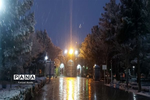 کاشمر هم رنگ برف را دید