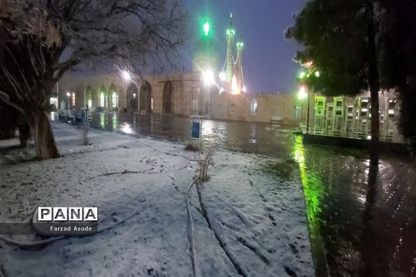 کاشمر هم رنگ برف را دید