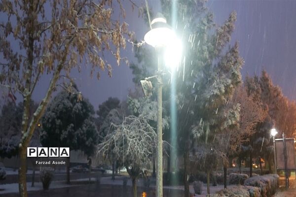 کاشمر هم رنگ برف را دید