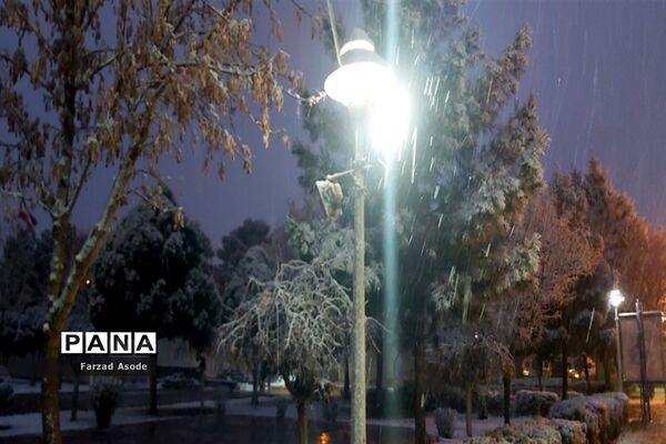 کاشمر هم رنگ برف را دید