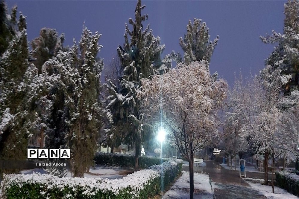 کاشمر هم رنگ برف را دید