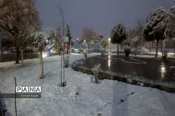 کاشمر هم رنگ برف را دید