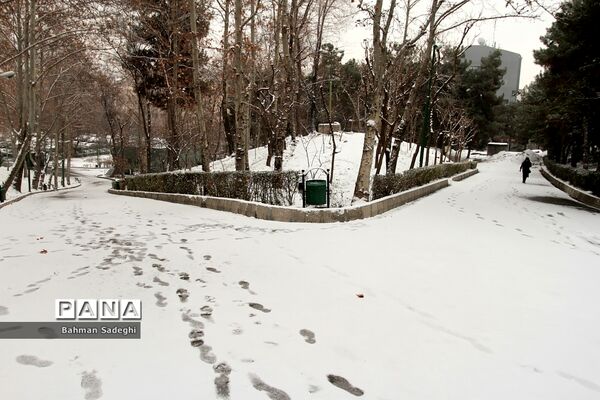 بارش برف زمستانی در تهران